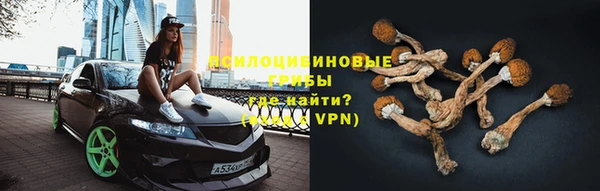 ALPHA PVP Аркадак